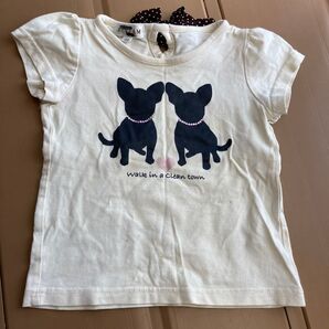 any FAN キッズ Tシャツ 100 オフホワイト チワワ