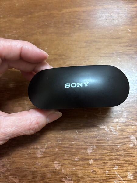 SONY ワイヤレスイヤホン WF-SP800N
