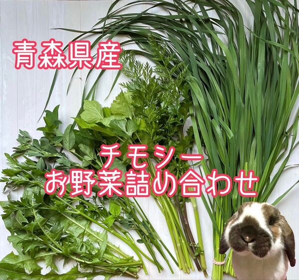 青森県産 朝採り生牧草 チモシー お野菜 野草詰め合わせ!!