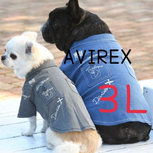新品 AVIREX サインシャツ 3L ブラック クール・虫除け加工あり 犬服