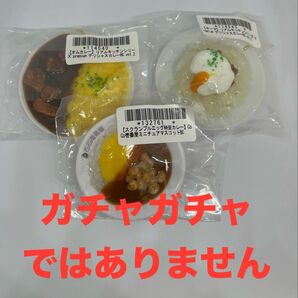 CoCo壱番屋 ミニチュアマスコット リアルキッチンシリーズ キーマ オムカレー カレー 食品サンプル