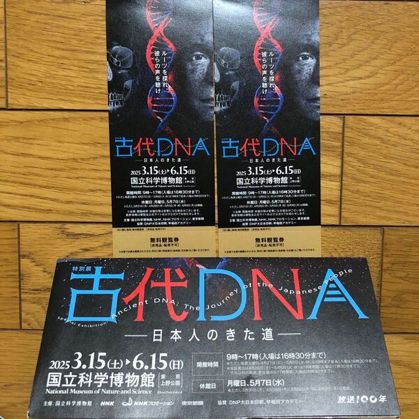 国立科学博物館 古代DNA-日本人のきた道- 無料観覧券2名分 チラシ付