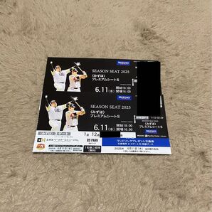 【交流戦】6月11日(水) みずほPayPayドーム ホークスvs巨人 みずほプレミアムシートS 2枚(連番) PayPayドーム