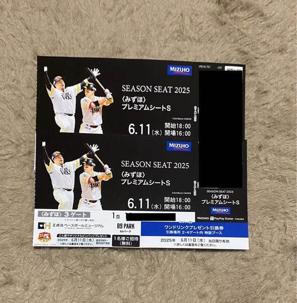 【交流戦】6月11日(水) みずほPayPayドーム ホークスvs巨人 みずほプレミアムシートS 2枚(連番) PayPayドーム
