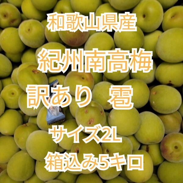 和歌山県産 紀州南高梅 サイズ2L 訳あり雹 箱込み5キロ 青梅a