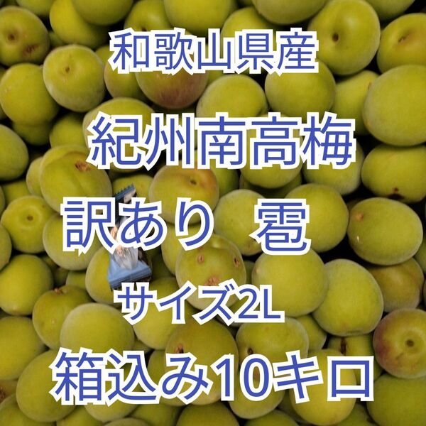和歌山県産 紀州南高梅 サイズ2L 訳あり 雹 箱込み10キロ 青梅