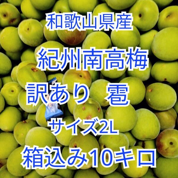 和歌山県産 紀州南高梅 サイズ2L 訳あり 箱込み10キロ 青梅