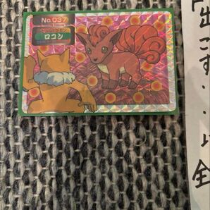 【トップサン】【美品】ポケモンカード ロコン