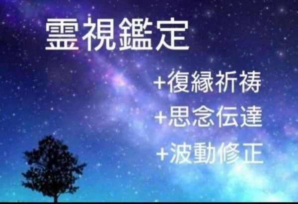 【鑑定祈祷歴20年】霊視鑑定+復縁祈祷+思念伝達+波動修正 復縁 悩み 占い