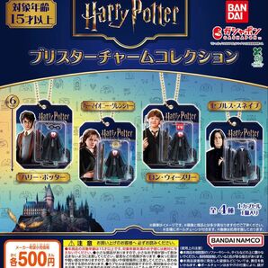 ハリー・ポッター ブリスターチャームコレクション 全4種セット ガチャ 送料無料 匿名配送