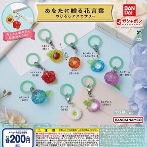 あなたに贈る花言葉 めじるしアクセサリー 全8種セット ガチャ 送料無料 匿名配送