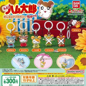 とっとこハム太郎 めじるしアクセサリー ちゅー! 4種セット ガチャ 送料無料 匿名配送