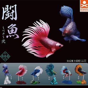 闘魚 ベタ 弐 全6種セット ガチャ 送料無料 匿名配送