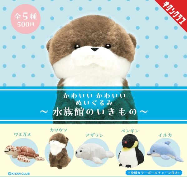 かわいい かわいい ぬいぐるみ 水族館のいきもの 全5種セット ガチャ 送料無料 匿名配送