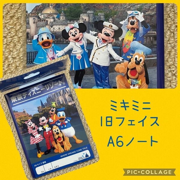 激レア ディズニーリゾート限定 ミキミニ 旧フェイス A6ノート