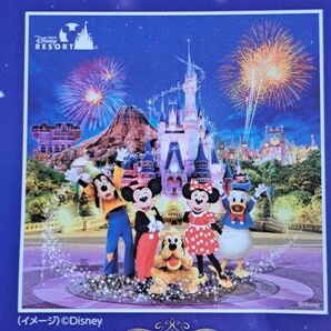 懸賞応募 カルビー ディズニー ファンタスティックキャンペーン応募券170点 ハガキ貼付済 おまけ応募ハガキ3枚同封