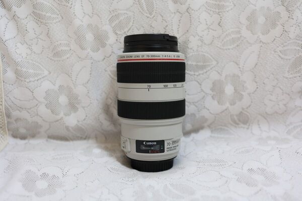Canon キヤノン ズームレンズ EF70-300 4-5.6L IS USM 中古品