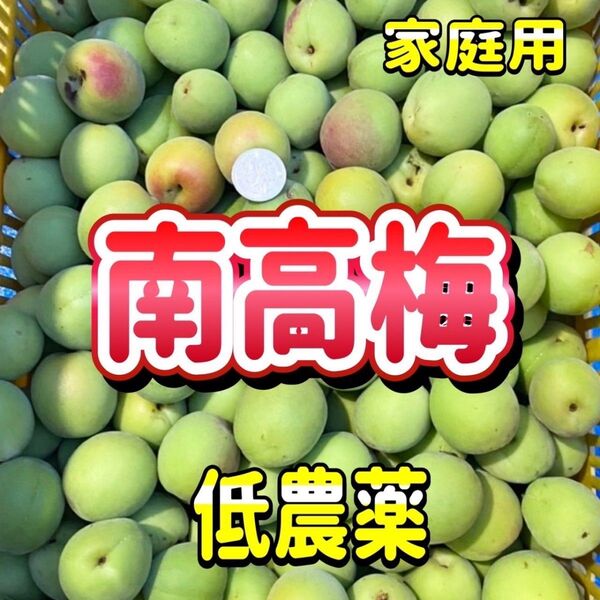 高梅 低農薬 1キロ 以上 ご家族用