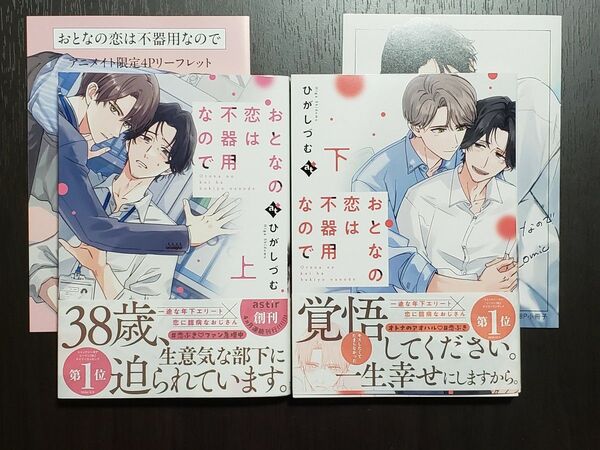 おとなの恋は不器用なので 上下セット (特典付) ひがしづむ先生
