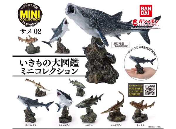 いきもの大図鑑ミニコレクション サメ02 全5種フルコンプ 未開封 バンダイ ガシャポン アドバンス クジラ イルカ 両生類
