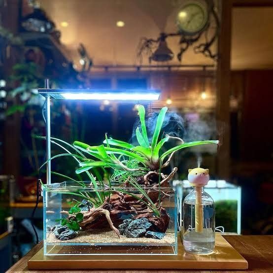 WEEK AQUA S300Pro ウィークアクア RGBライト led 水槽用照明