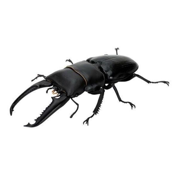 パラワンオオヒラタクワガタ いきもの大図鑑くわがた08 昆虫 生き物 ガチャ 生き物大図鑑 フィギュア