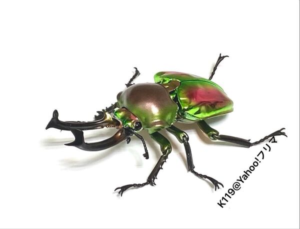 いきもの大図鑑 ニジイロクワガタ ノーマル 美品 昆虫フィギュア ガチャ ガシャポン バンダイ 生き物大図鑑
