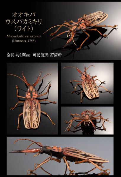 いきもの大図鑑アドバンス オオキバウスバカミキリ ライト バンダイ ガシャポン 昆虫フィギュア