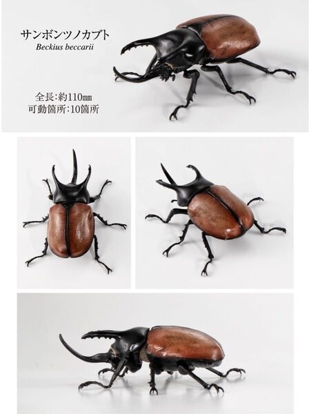 サンボンヅノカブト いきもの大図鑑かぶとむし08 昆虫フィギュア バンダイ BANDAI ガチャ ガシャポン