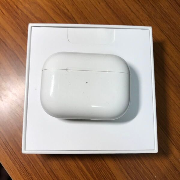 Apple AirPods 第1世代 充電ケース ライニングアップル