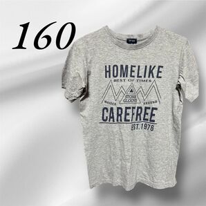 160 半袖Tシャツ Tシャツ 男の子 女の子 キッズ クーポン