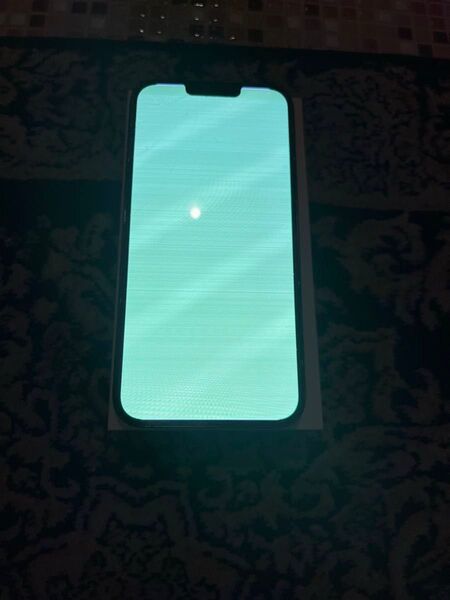 iPhone 13pro MAX 1024GB