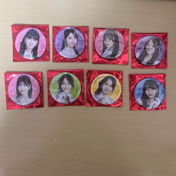 乃木坂46 13th YEAR BIRTHDAY LIVE 個別ランダム缶バッジA