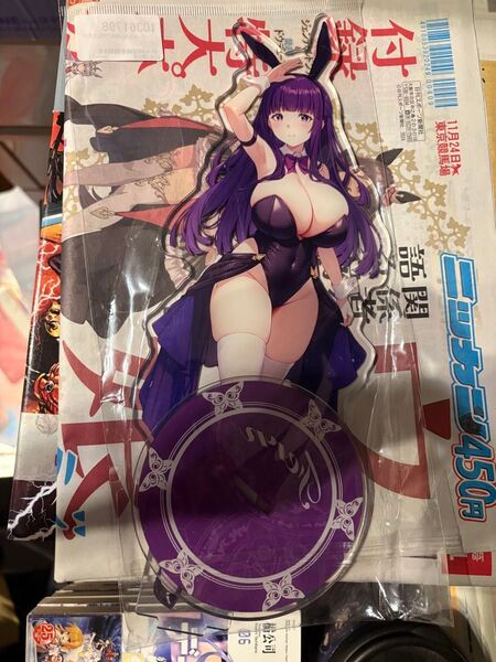 バニーガールフェルンBIGアクリルスタンド