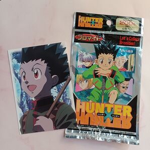 初期 HUNTER×HUNTER 旧アニメ【ゴン】No004 ブロマイドポストカード おまけ袋付き 希少当時物