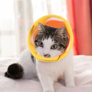 猫用エリザベスカラー ソフト 通気性 超軽量 調整可能 傷舐め防止 S 黄色