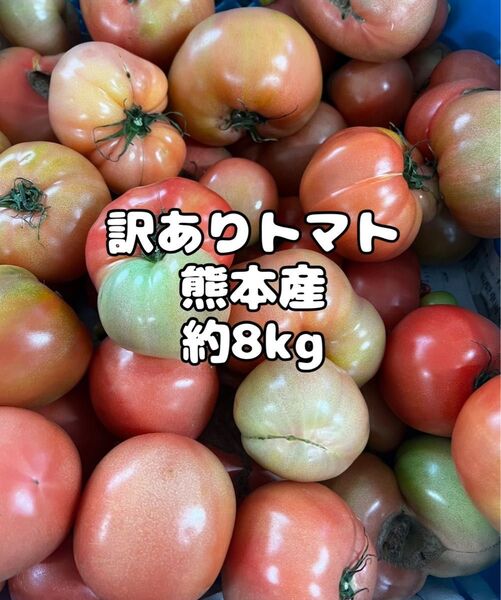 農家さん直送!コスパ◎熊本産 訳ありトマト 約8kg