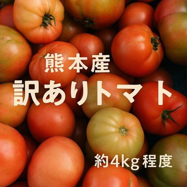 農家さん直送!コスパ◎熊本産 訳ありトマト 約4kg