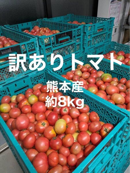 農家さん直送!コスパ◎熊本産 訳ありトマト 約8kg