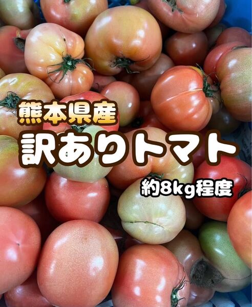 農家さん直送!コスパ◎熊本産 訳ありトマト 約8kg