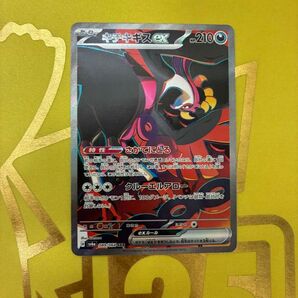 キチキギスex SAR