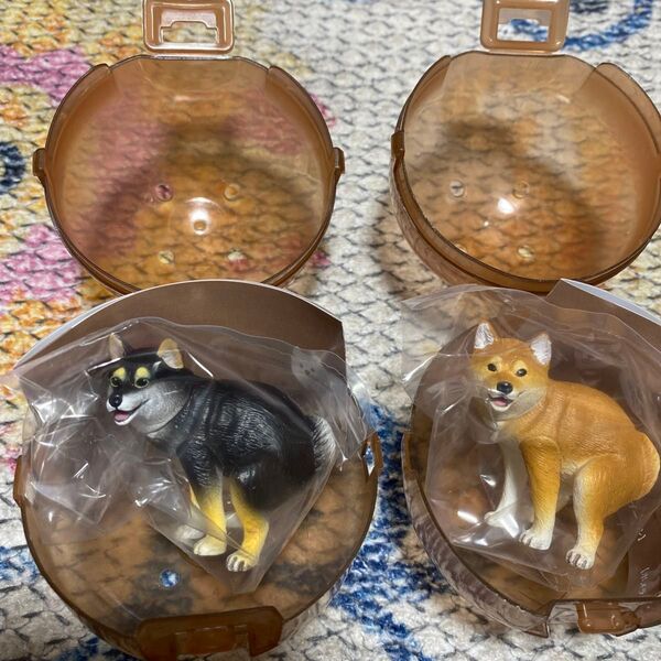 ふんばり〜ぬ ふんばりーぬ 黒柴犬 柴犬 フィギュア 2体セット 2匹 ガチャ