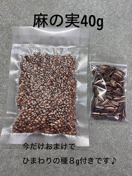麻の実 40グラム 今だけおまけでひまわりの種8g付き
