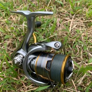 ダイワ DAIWA フリームス LT2000S-XH GT-R 4lb 100m ライン巻き済み