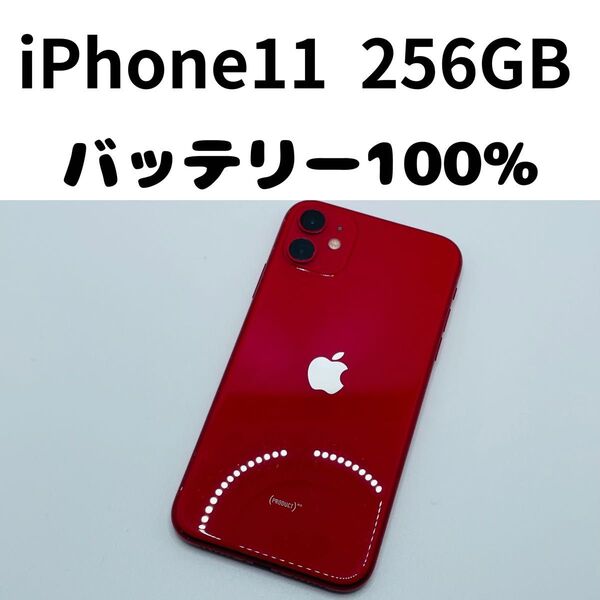 iPhone 11 256GB simフリー本体 訳あり ジャンク