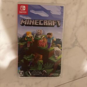 Minecraft Nintendo Switch版