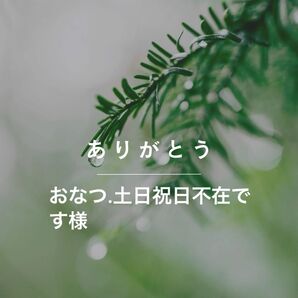 専用出品
