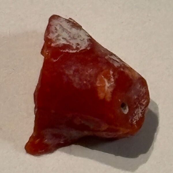 血赤珊瑚..高知県..最高級の赤黒い血赤.2.10ct.原木