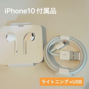 iPhone充電器 ライトニングケーブル イヤホン Apple