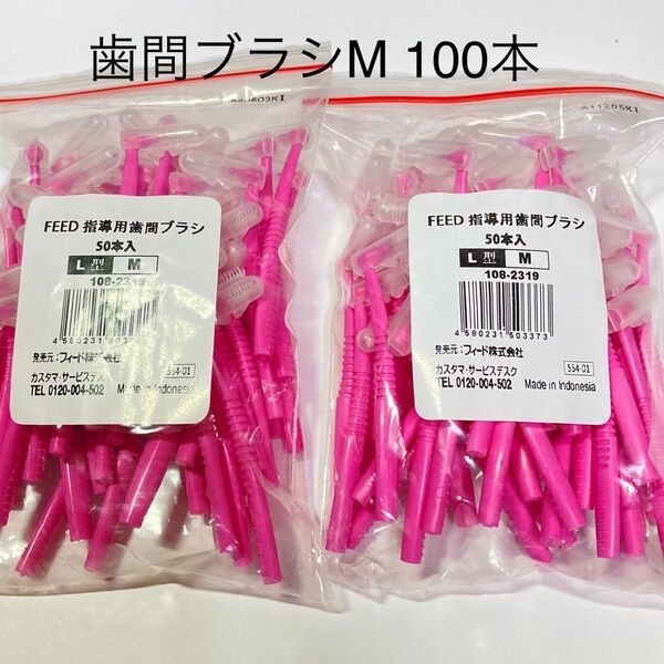 FEED L字指導用歯間ブラシ M 100本